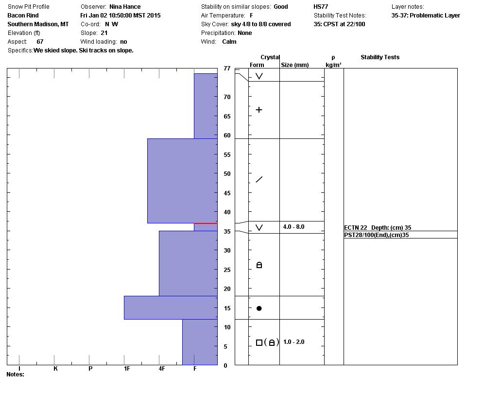 Bacon Rind Snowpit Profile