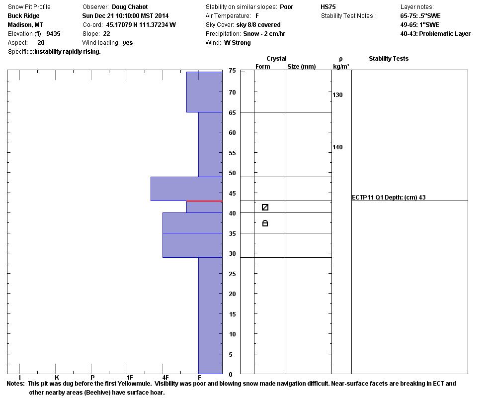 Buck Ridge Snowpit Profile