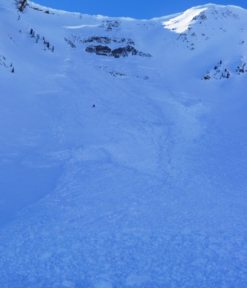 Avalanche Track - Hardscrabble Peak
