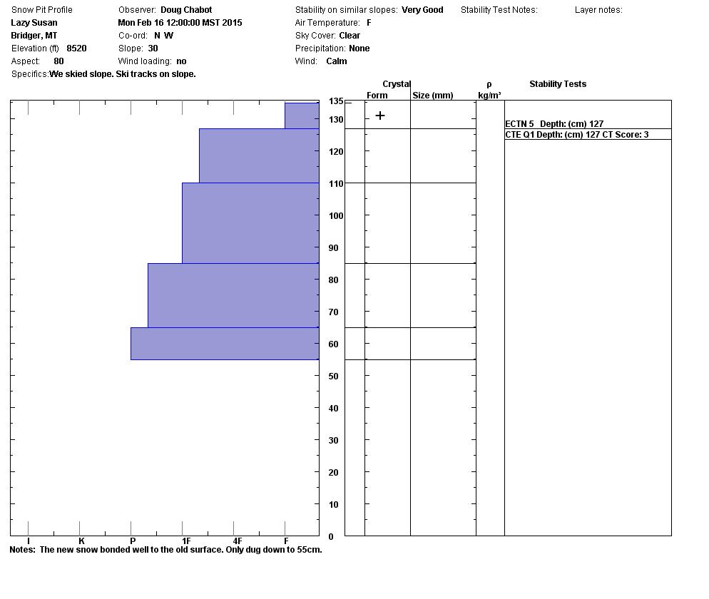 Lazy Susan Snowpit Profile