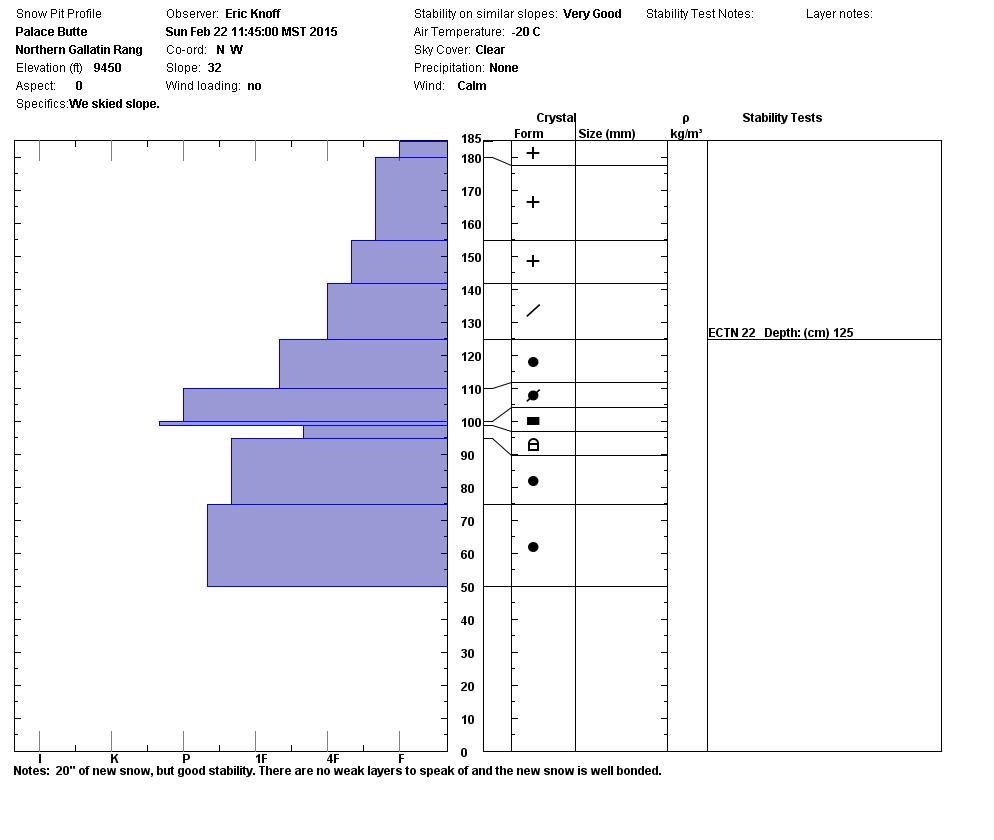 Palace Butte Snowpit - 2/22/15