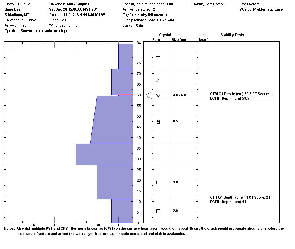 Sage Basin Snowpit Profile