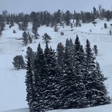 All Avalanche Incidents for Advisory Year 2019-20 | Gallatin