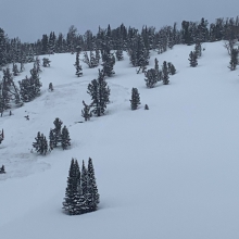 All Avalanche Incidents for Advisory Year 2019-20 | Gallatin