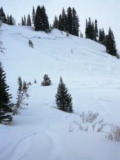 Human triggered avalanche near Cooke City 2-6-10