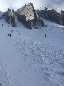 Avalanche in N. Bridger Range