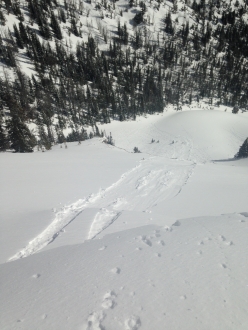 Loose Snow Avalanche in N. Madison Range