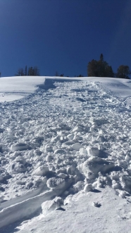 Snowmobile triggered avalanche near Lionhead - 2/21/16