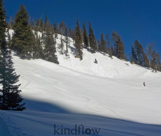 Small, wet, loose avalanches