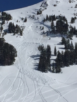 Cooke City Avalanche - 4/2/16