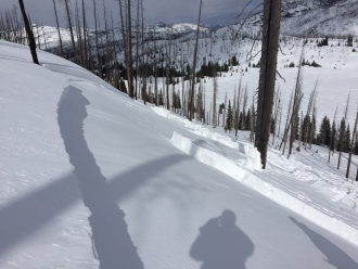 Snowmobile triggered avalanche Cooke City - 2/20/16