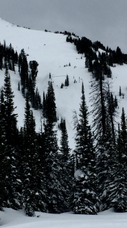 Snowbike Triggered Avalanche Near Cooke City 2
