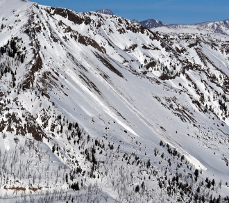 Wet Loose Avalanches