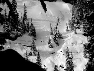 Shallow natural avalanches in Hyalite