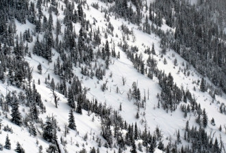 Avalanche on west side of Bridgers