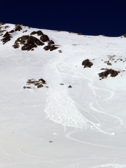 Wet loose avalanche - Beehive Basin 13 March 15
