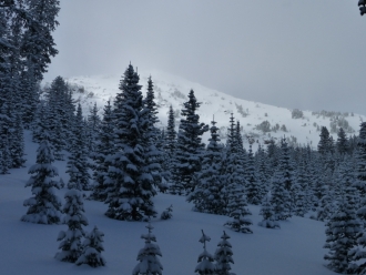 Winter returns - Mt. Blackmore 2/16/15